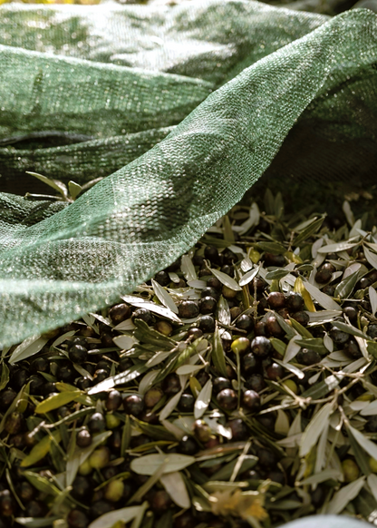 Extra Virgin Olive Oil – 250ml